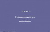 Principles of Human Anatomy and Physiology, 11e1 Chapter 5 The Integumentary System Lecture Outline.