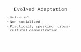 Evolved Adaptation Universal Non-socialized Practically speaking, cross-cultural demonstration.