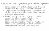 Generation of antibodies and T cell receptors by V(D)J recombination Lymphocyte development: generation of cells with functional and useful antigen receptors.