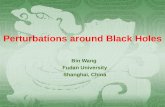 Bin Wang Fudan University Shanghai, China Perturbations around Black Holes.