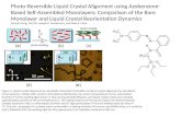 Photo-Reversible Liquid Crystal Alignment using Azobenzene- Based Self-Assembled Monolayers: Comparison of the Bare Monolayer and Liquid Crystal Reorientation.