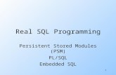 1 Real SQL Programming Persistent Stored Modules (PSM) PL/SQL Embedded SQL.