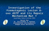 Investigation of the Premutagenic Lesion 8-oxo dGTP and its Repair Mechanism Mut T Howard Hughes Medical Institute (HHMI) Daniel Bai Dr. Christopher K.