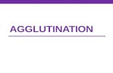 AGGLUTINATION. Agglutination The interaction between antibody and a particulate antigen results in visible clumping called agglutination Particulate antigen.