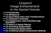 1 Chapter3 Image Enhancement in the Spatial Domain 3.0 Introduction 3.0 Introduction 3.1 Background 3.1 Background 3.2 Some Basic Gray Level Transformations.