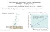 Plant Molecular Genetics and Genetic Transformation HORT 301 – Plant Physiology November 1, 2010 Taiz and Zeiger – Chapter 2, Smith et al. (2010) – Chapter.