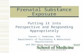 Prenatal Substance Exposure Putting it into Perspective and Responding Appropriately Steven J. Ondersma, PhD Departments of Psychiatry & Behavioral Neurosciences.