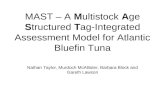 MAST – A Multistock Age Structured Tag-Integrated Assessment Model for Atlantic Bluefin Tuna Nathan Taylor, Murdoch McAllister, Barbara Block and Gareth.