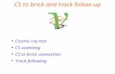 CS to brick and track follow-up ● Cosmic ray test ● CS scanning ● CS to brick connection ● Track following Napoli Scanning Lab.