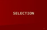 1 SELECTION. 2 Selection   Process of choosing from a group of applicants the individual best suited for a particular position and an organization