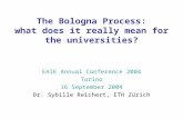 The Bologna Process: what does it really mean for the universities? EAIE Annual Conference 2004 Torino 16 September 2004 Dr. Sybille Reichert, ETH Zürich.