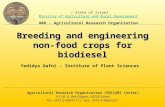 Breeding and engineering non- food crops for biodiesel Agricultural Research Organization (VOLCANI Center) P.O.B. 6, Bet-Dagan, 50250 Israel Tel: +972-3-9683111.