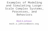 Examples of Modeling and Simulating Large-Scale Complex Systems, Processes, and Behaviors Mark A. Johnson mark.a.johnson@aero.org.