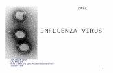 1 INFLUENZA VIRUS CDC WEBSITE  2002.