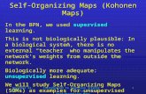 November 24, 2009Introduction to Cognitive Science Lecture 21: Self-Organizing Maps 1 Self-Organizing Maps (Kohonen Maps) In the BPN, we used supervised.
