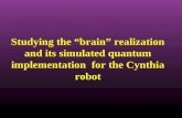 Studying the “brain” realization and its simulated quantum implementation for the Cynthia robot.
