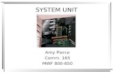 SYSTEM UNIT Amy Pierce Comm. 165 MWF 800-850. System unit components are housed within the system unit or system cabinet Desktop Notebook PDA (personal.