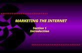 MARKETING THE INTERNET Section 1 Introduction. Activating the Internet Introduction  Clients know what the web is  Clients want to know why they should.