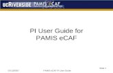 07/13/2007 PAMIS eCAF PI User Guide Slide 1 PI User Guide for PAMIS eCAF.