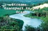Streams: Transport to the Ocean Gary D. McMichael/Photo Researecher.