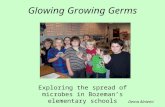 Glowing Growing Germs Exploring the spread of microbes in Bozeman’s elementary schools Dema Alniemi.
