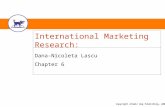 Copyright Atomic Dog Publishing, 2002 International Marketing Research: Practices and Challenges Dana-Nicoleta Lascu Chapter 6.
