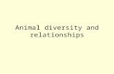 Animal diversity and relationships. Living forms At least 30 phyla But only x “important” ones Importance = numerous, ecologically important, and fit.