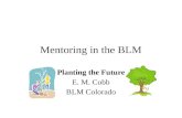 Mentoring in the BLM Planting the Future E. M. Cobb BLM Colorado.
