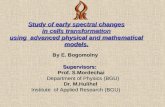 Study of early spectral changes in cells transformation using advanced physical and mathematical models. By E. Bogomolny Supervisors: Supervisors: Prof.