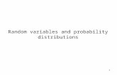 1 Random variables and probability distributions.
