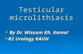 Testicular microlithiasis  By Dr. Wissam Kh. Kamal  R2 Urology KAUH.