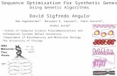 1 Sequence Optimization For Synthetic Genes Using Genetic Algorithms David Sigfredo Angulo 1 Rob Vogelbacher 1, Benjamin R. Capraro 2, Tobin Sosnick 2,