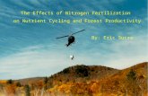 The Effects of Nitrogen Fertilization on Nutrient Cycling and Forest Productivity By: Eric Sucre.