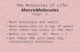 The Molecules of Life : MacroMolecules Chapt. 3 Most molecules are small! More molecules in a cup of water than there are stars in the sky! Water is small.