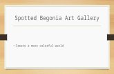 Spotted Begonia Art Gallery Create a more colorful world.