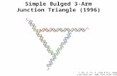 Simple Bulged 3-Arm Junction Triangle (1996) J. Qi, X. Li, X. Yang & N.C. Seeman, J. Am. Chem. Soc., 118, 6121-6130 (1996).
