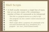 Shell Scripts 4 A shell usually interprets a single line of input, but we can also create a file containing a number of lines of commands to be interpreted.