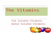 Fat Soluble Vitamins Water Soluble Vitamins The Vitamins.
