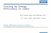 Scaling Up Energy Efficiency in India Energy Efficiency Services Limited (A JV company of PSUs of Ministry of Power, Govt of India ) Anil Kumar Gupta and.