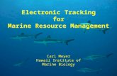 Electronic Tracking for Marine Resource Management Carl Meyer Hawaii Institute of Marine Biology.