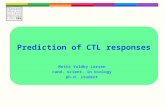 Prediction of CTL responses Mette Voldby Larsen cand. scient. in biology ph.d. student.