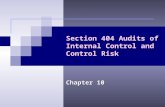 Section 404 Audits of Internal Control and Control Risk Chapter 10.