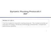 1 Dynamic Routing Protocols I RIP Relates to Lab 4. The first module on dynamic routing protocols. This module provides an overview of routing, introduces.
