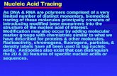 Nucleic Acid Tracing As DNA & RNA are polymers comprised of a very limited number of distinct monomers, biomedical tracing of these molecules principally.