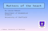 Matters of the heart Dr Louise Robson Department of Biomedical Science University of Sheffield L Robson, University of Sheffield.