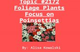 Topic #2172 Foliage Plants Focus on Poinsettias By: Alisa Kowalski.