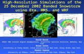 High-Resolution Simulations of the 25 December 2002 Banded Snowstorm using Eta, MM5, and WRF David Novak NOAA/ NWS Eastern Region Headquarters, Scientific.