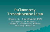 Pulmonary Thromboembolism Emily S. Southward DVM University of Missouri – Columbia Veterinary Medical Teaching Hospital.