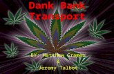 Dank Bank Transport BY: Matthew Cramer & Jeremy Talbot.