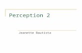 Perception 2 Jeanette Bautista. Papers Perceptual enhancement:text or diagrams?  Why a Diagram is (Sometimes) Worth Ten Thousand Words Larkin, J. and.